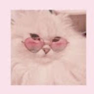 Meet your Posher, Katherine